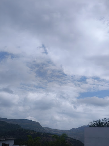 Photo from customer review