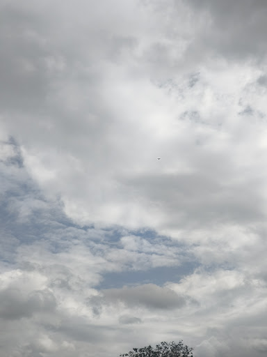 Photo from customer review