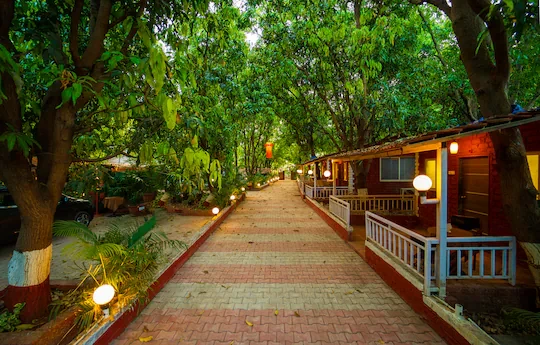 Roots Heritage Resorts (15)